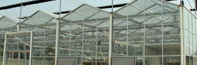 解析玻璃溫室大棚的優(yōu)點